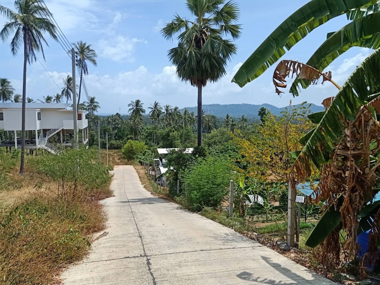 Lamai Land Plots For Sale Lamai Land Plots For Sale Road