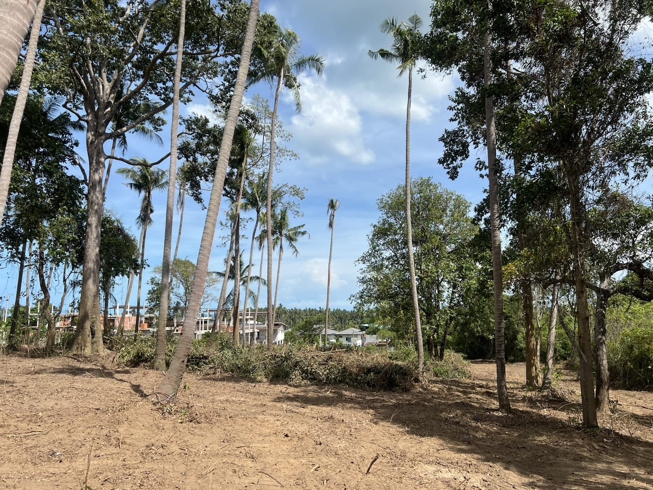 Lamai Land Plots For Sale Lamai Land Plots For Sale Surroundings