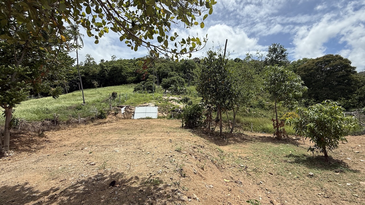 Chaweng Land Plot Chaweng Land Plot Surroundings