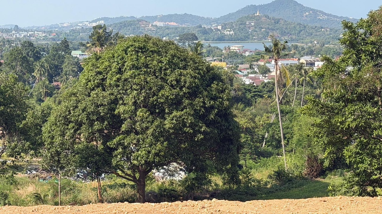 Chaweng Land Plot Chaweng Land Plot Views