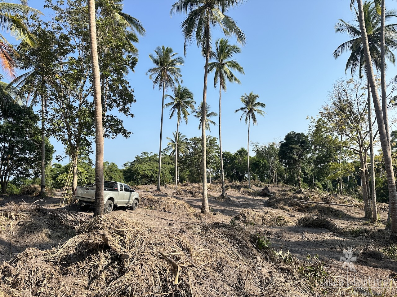 Koh Samui Sea View Land Parcel Koh Samui Sea View Land Parcel