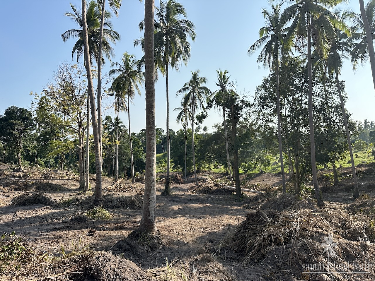 Koh Samui Sea View Land Parcel Koh Samui Sea View Land Parcel