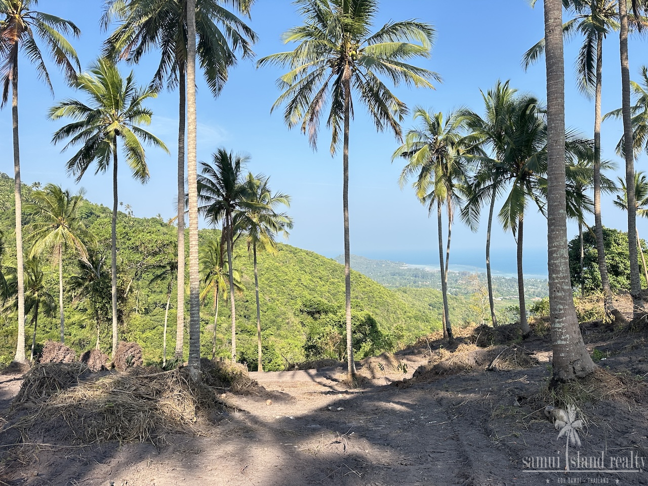 Koh Samui Sea View Land Parcel Koh Samui Sea View Land Parcel