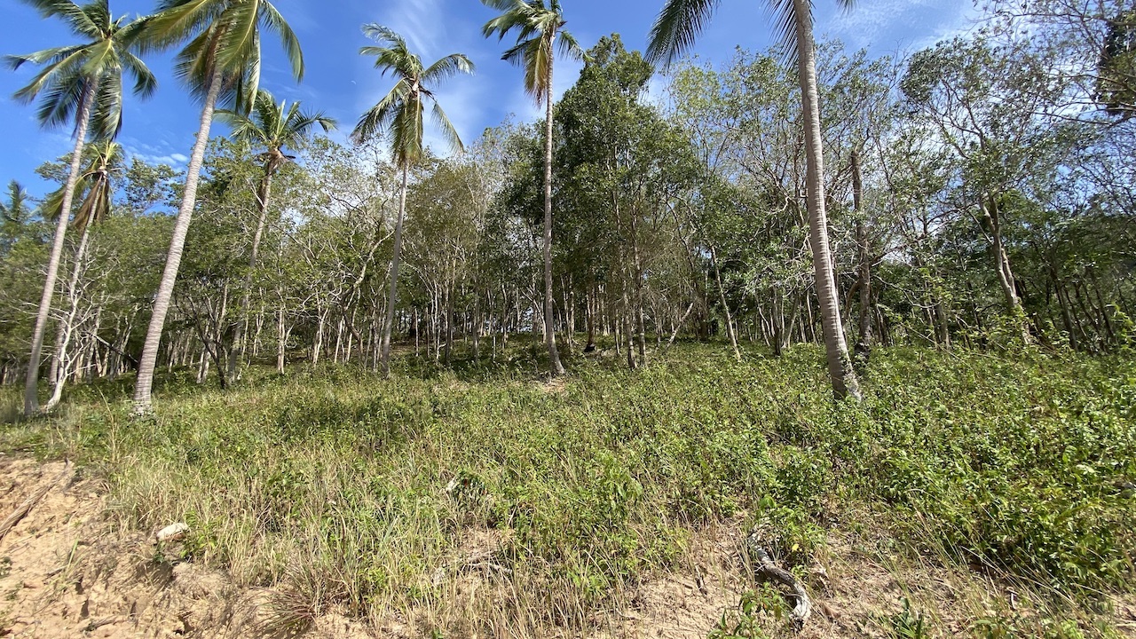 Land plots in Bang Por For Sale plot A