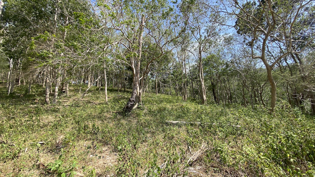 Land plots in Bang Por For Sale Plot A