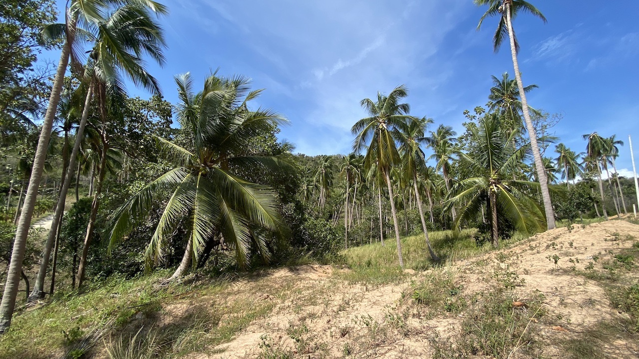 Land plots in Bang Por For Sale plot B