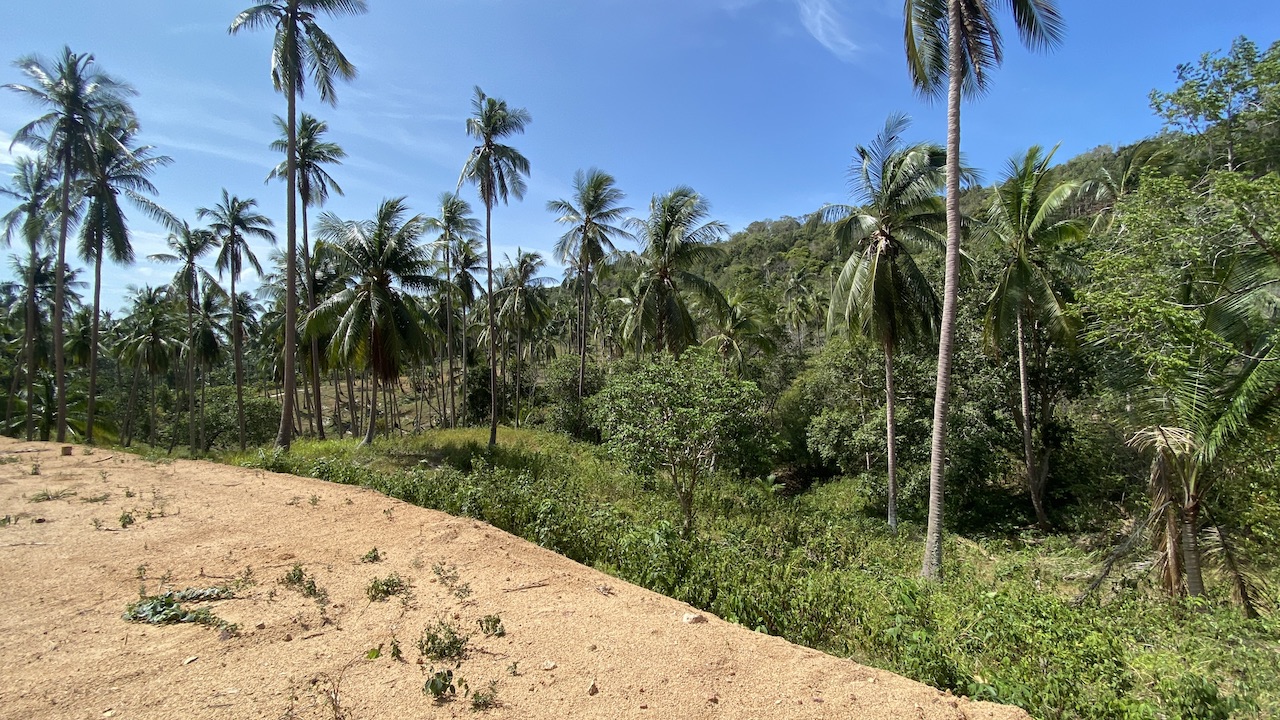 Land plots in Bang Por For Sale plot B