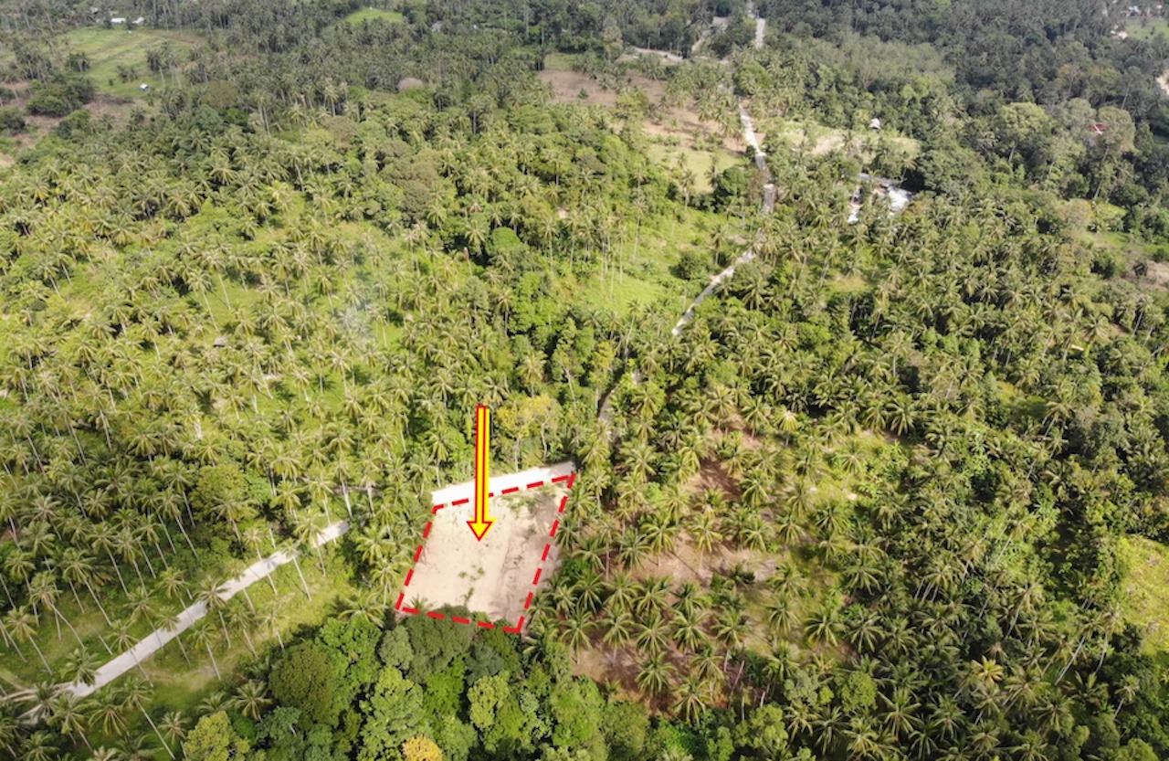 Maenam Samui Land Plot for Sale Maenam Samui Land Plot for Sale Overall