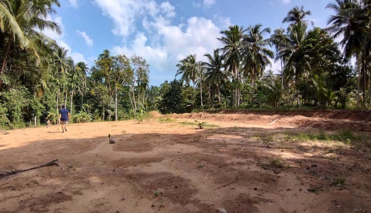 Maenam Samui Land Plot for Sale Maenam Samui Land Plot for Sale cleared land
