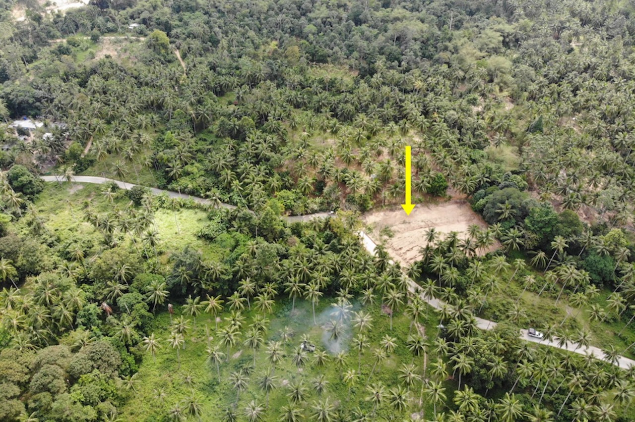 Maenam Samui Land Plot for Sale Maenam Samui Land Plot for Sale area