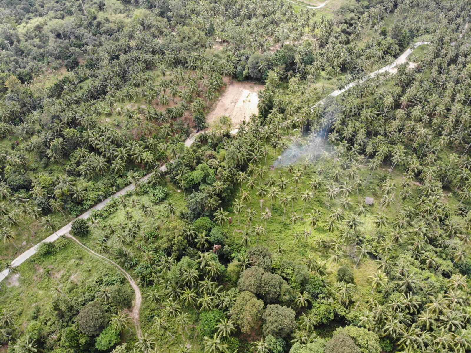 Maenam Samui Land Plot for Sale Maenam Samui Land Plot for Sale overall