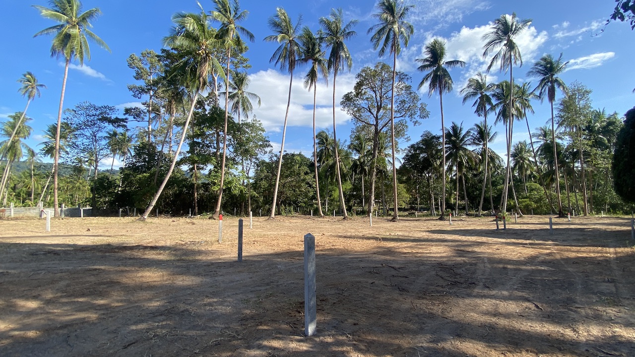 Angthong Land Plots Angthong Land Plots Coconut trees view