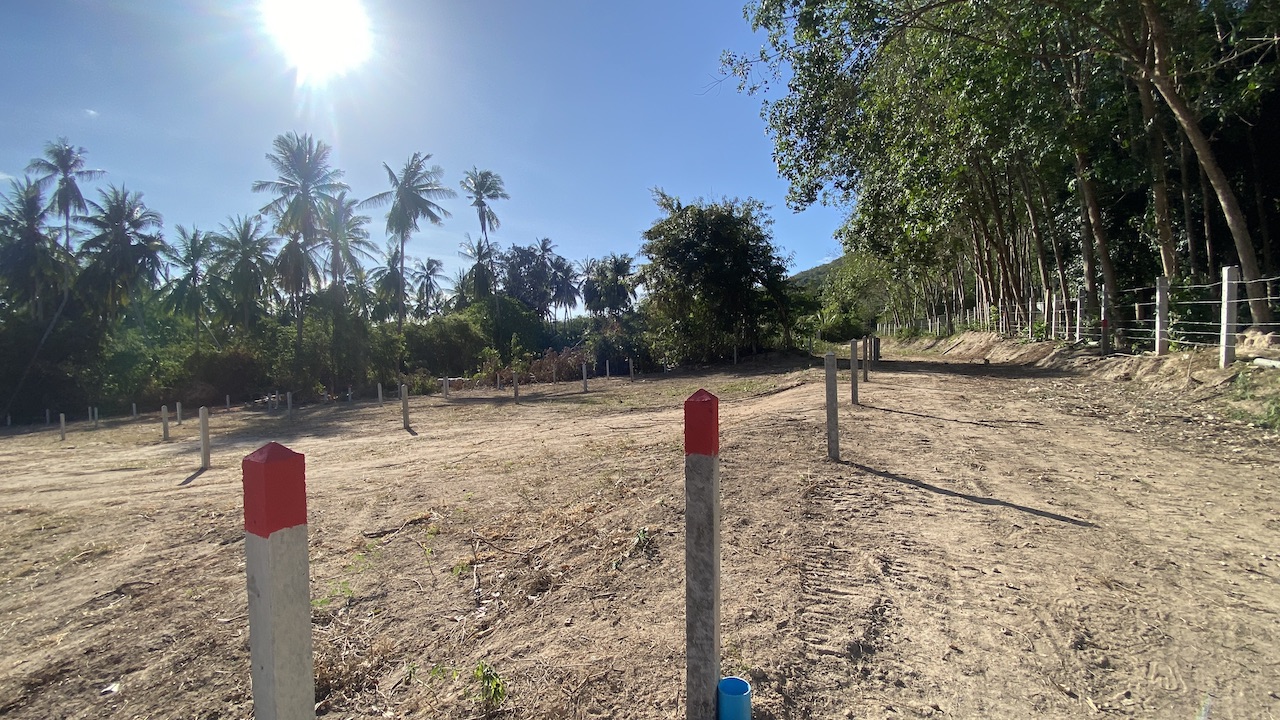 Angthong Land Plots Angthong Land Plots Access Road