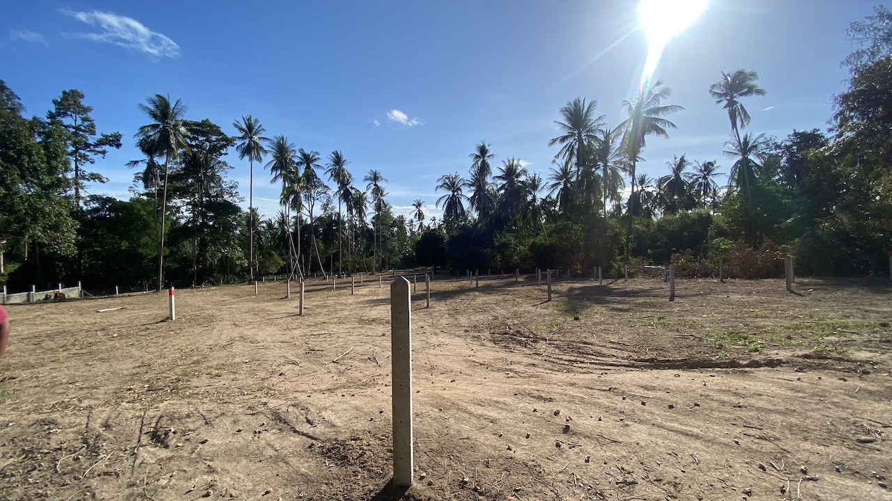 Angthong Land Plots Angthong Land Plots Overall