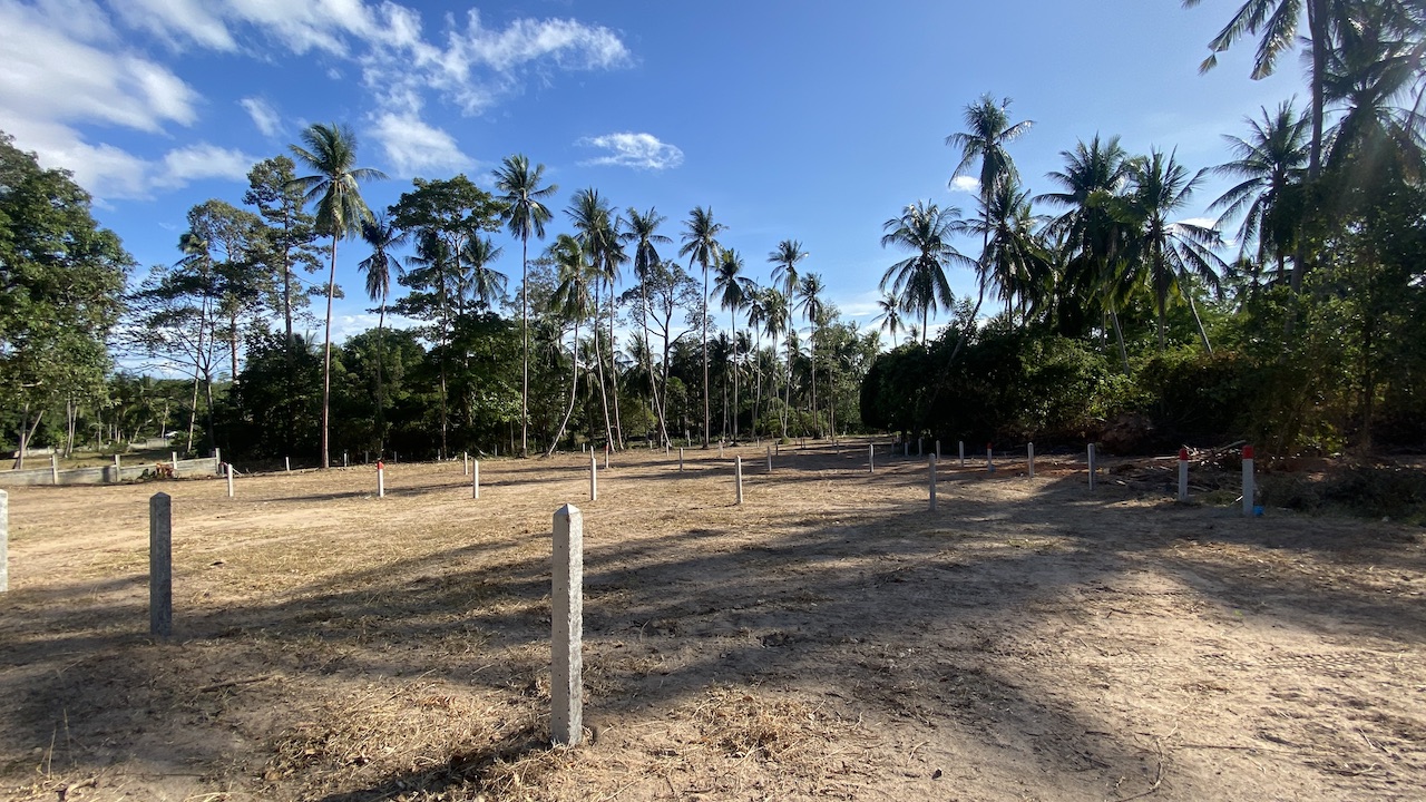 Angthong Land Plots Angthong Land Plots Overall