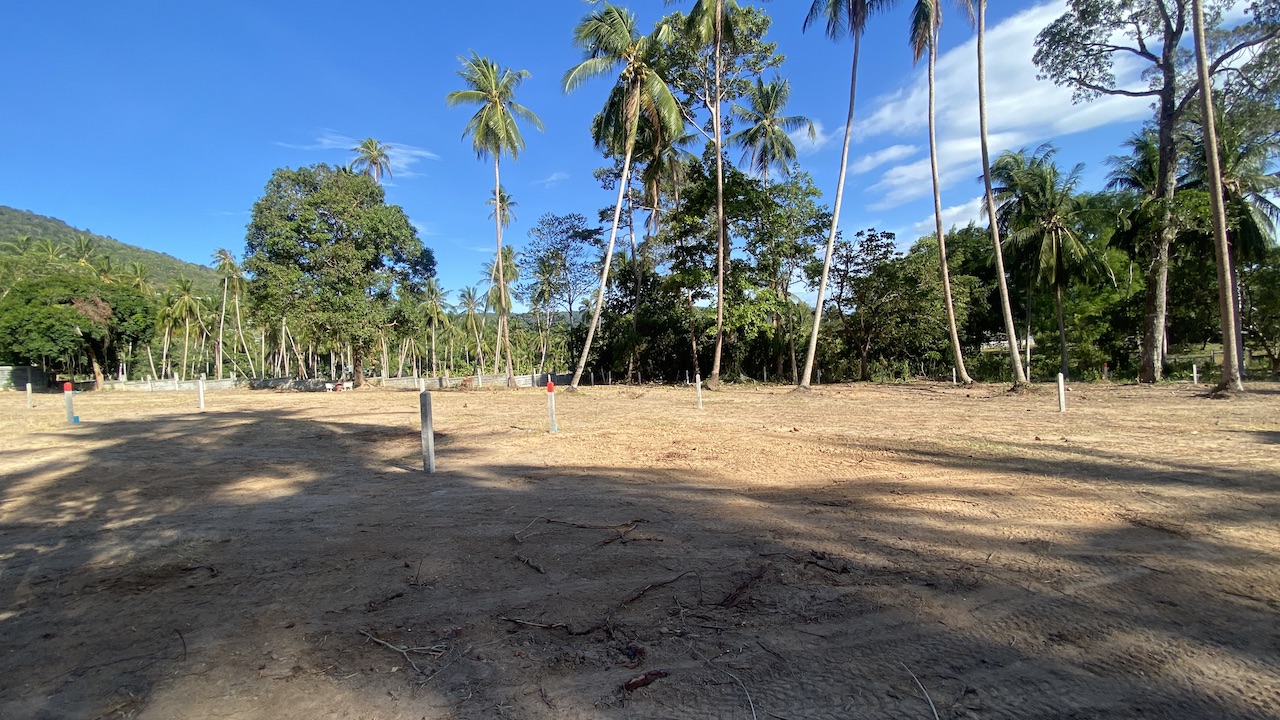 Angthong Land Plots Angthong Land Plots Overall