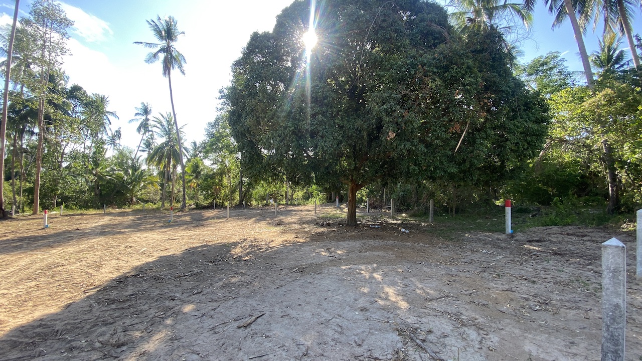 Angthong Land Plots Angthong Land Plots First Plot