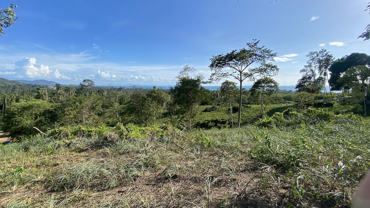 Angthong Seaview Land Angthong Seaview Land View