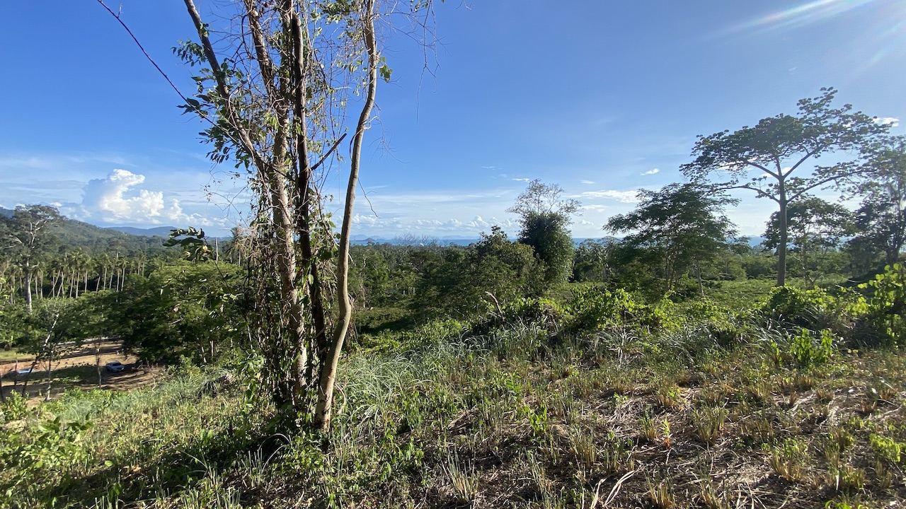 Angthong Seaview Land Angthong Seaview Land Top Land