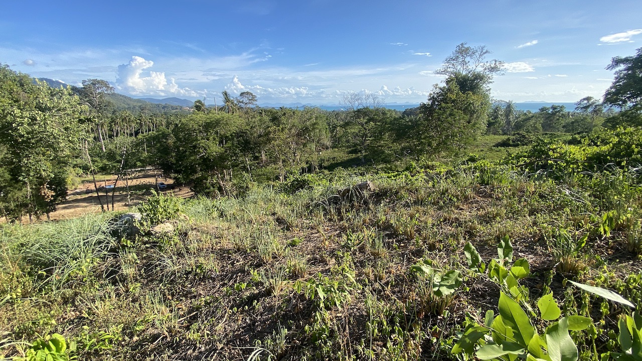 Angthong Seaview Land Angthong Seaview Land Access Way