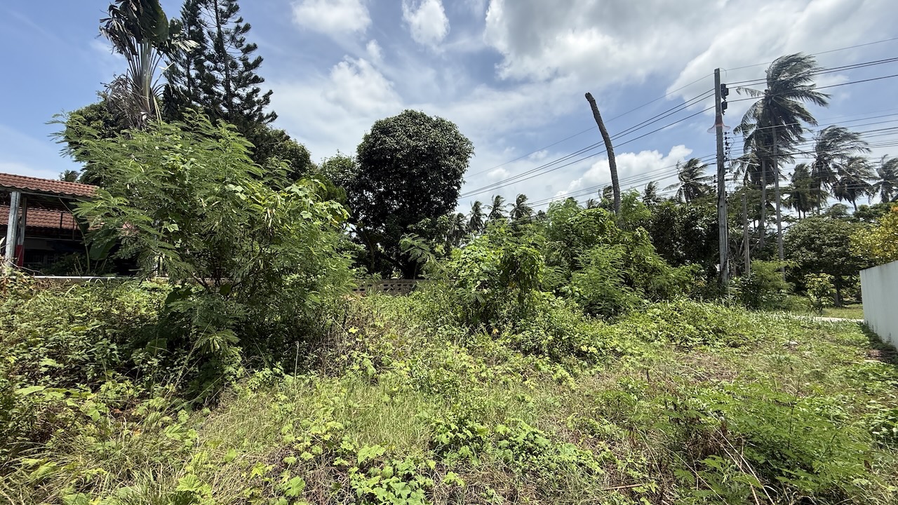 Koh Samui Land Plot In Hua Thanon Koh Samui Land Plot In Hua Thanon