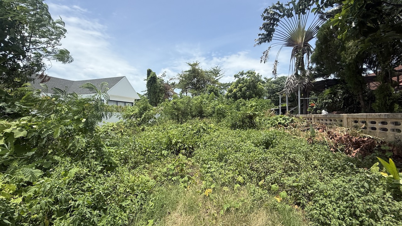 Koh Samui Land Plot In Hua Thanon Koh Samui Land Plot In Hua Thanon