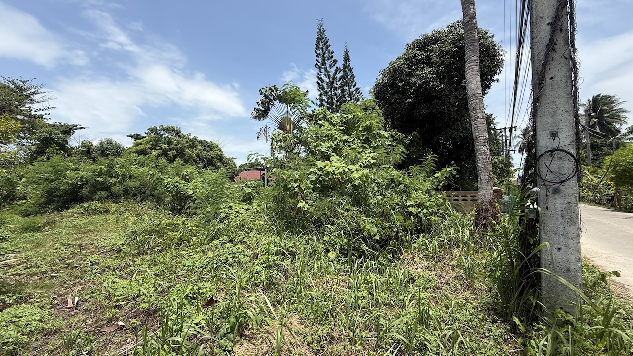 Koh Samui Land Plot In Hua Thanon Koh Samui Land Plot In Hua Thanon Front