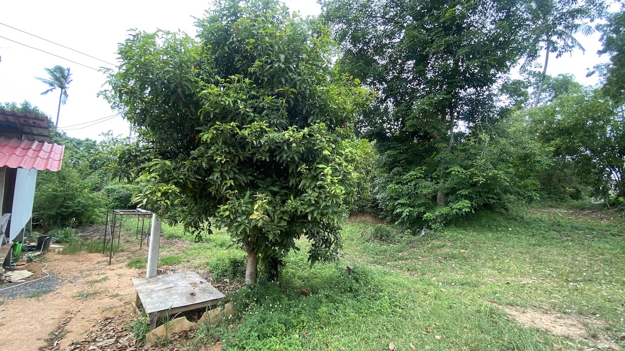 Land Plots Lamai Land Plots Lamai Front