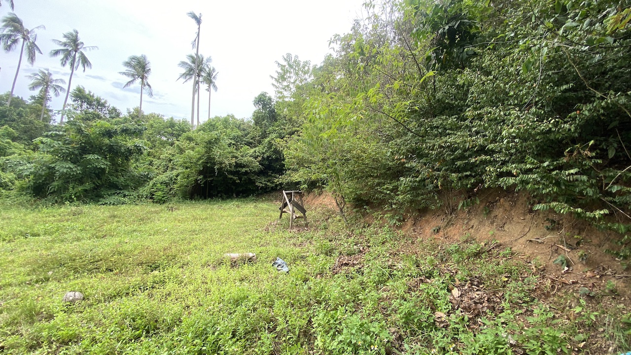Land Plots Lamai Land Plots Lamai Coconut View