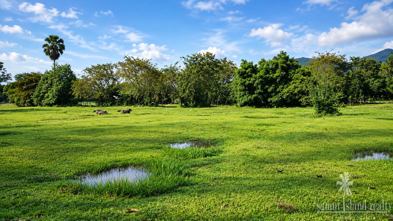 Taling Ngam Development Land Taling Ngam Development Land