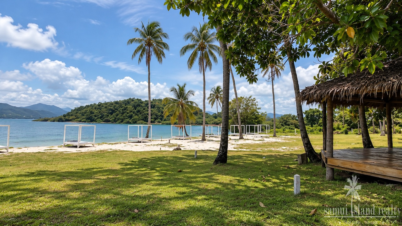 Koh Som Beach Land Coconut Trees