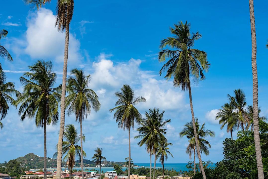 Lamai Valley View Villas Sea View