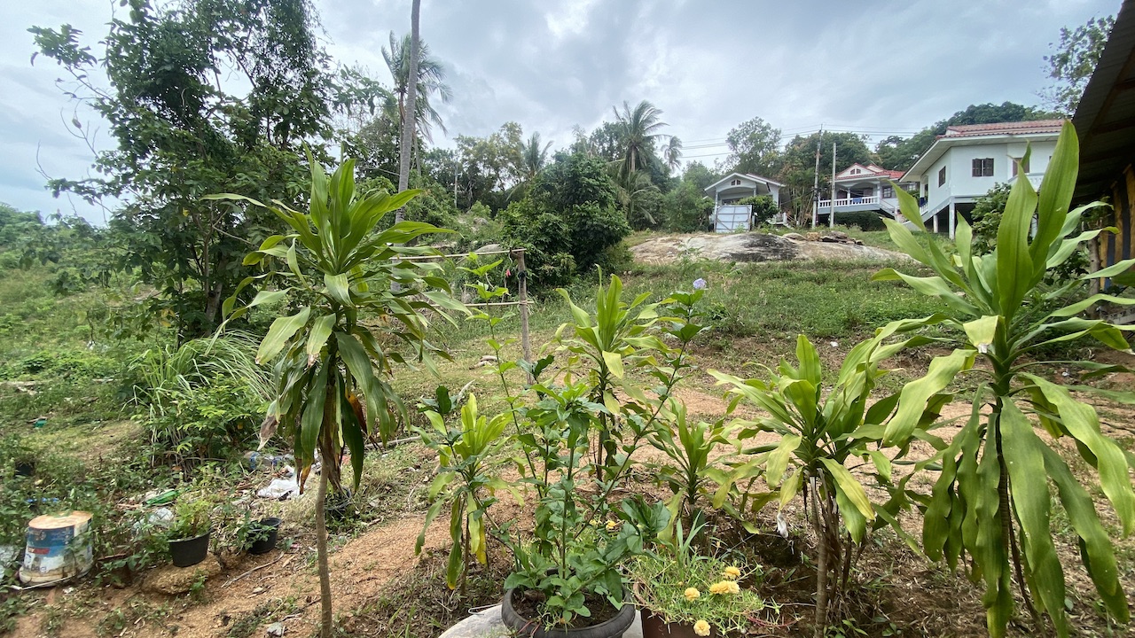 Land Plots At Lamai Border