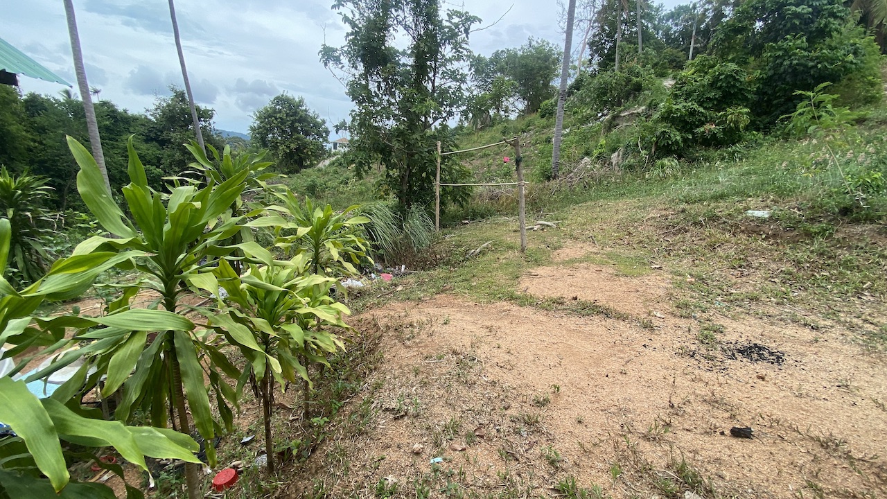 Land Plots At Lamai Area